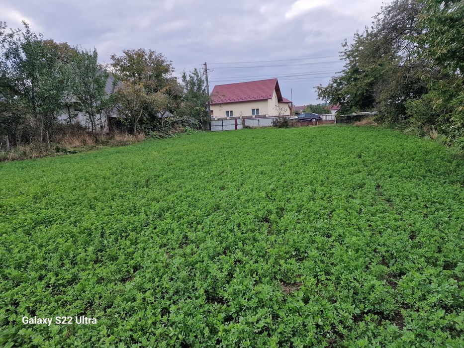 Vand teren intravilan 3500mp,sat Costana, com Todiresti