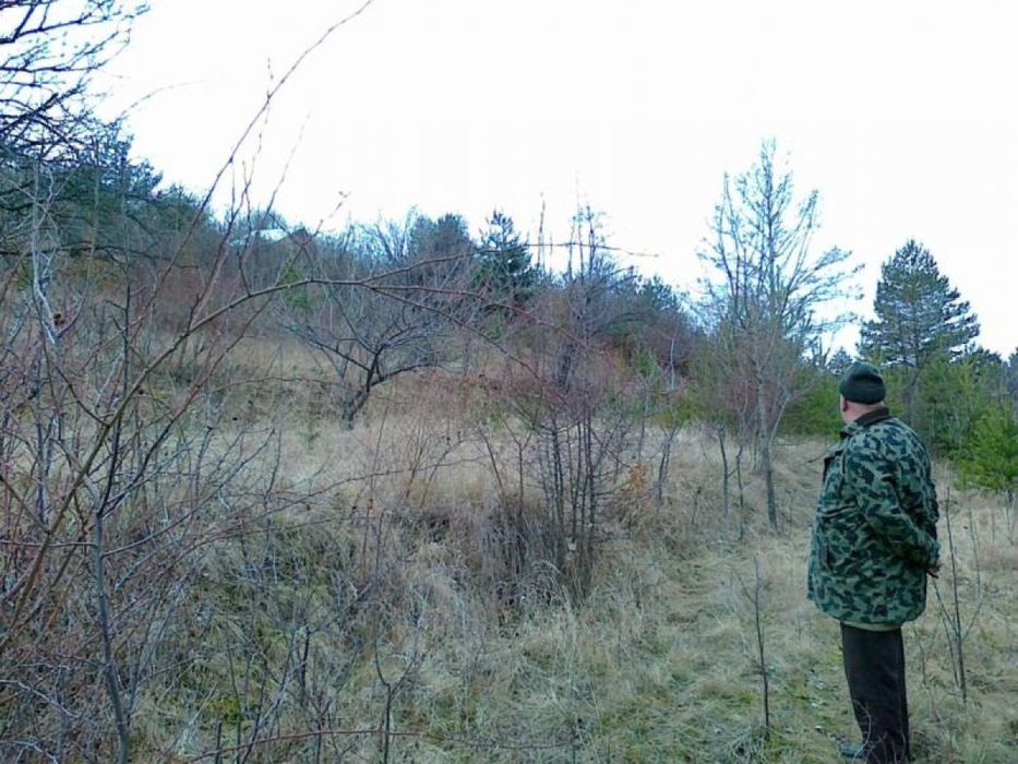 Продава се Парцел в с. Горна Диканя, Област Перник - 1000 кв.м за 11 €/кв.м - Снимка #2