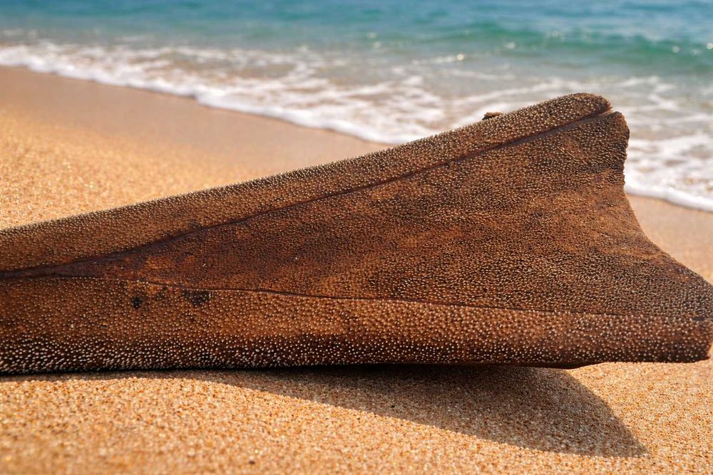 Уникален Подарък