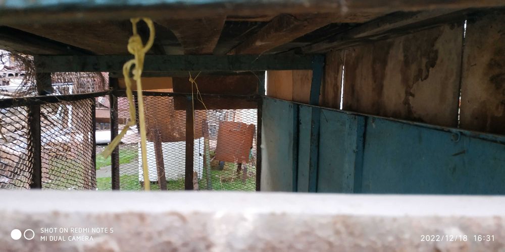 Продаётся Валер Qafas soltiladi