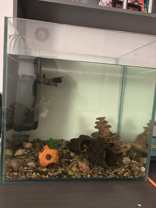 Аквариум 100 литров