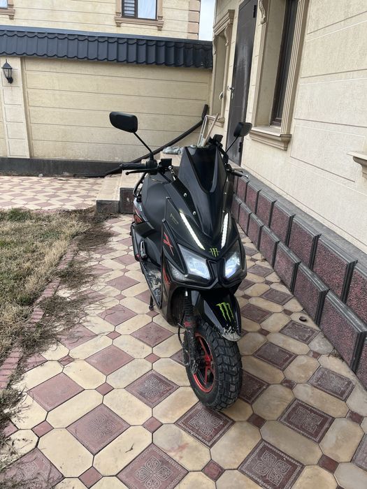 Самурай лия 2024