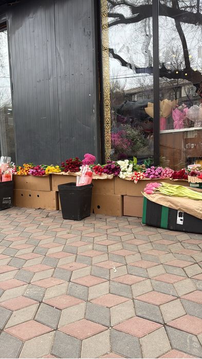 Тюльпаны по 500 тг