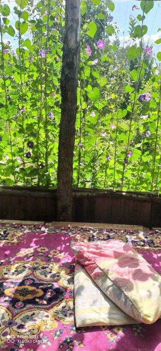 Продам дачу Восход в хорошем месте