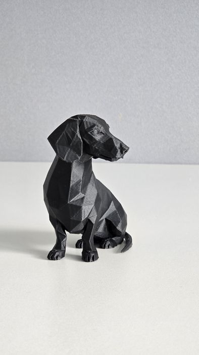 Dachshund/Teckel in miniatura