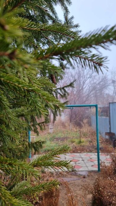 Продам дом в центре города