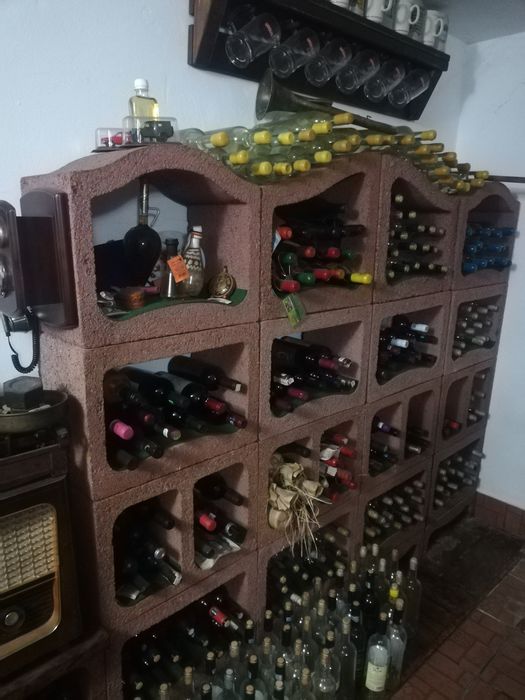 Șemineu pentru interior și vinoteca