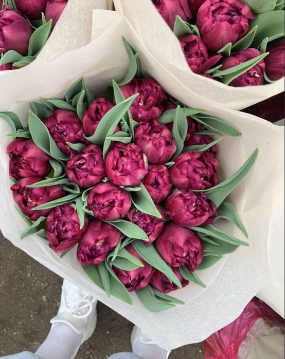 Тюльпаны в розницу Астана