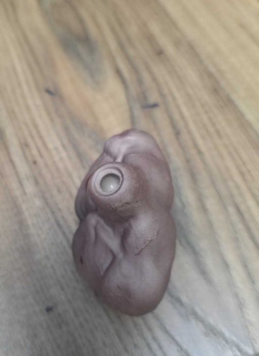 Wolverine Display Bust 1/6