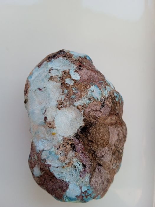 Бирюза Казахстанская