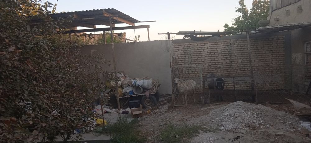 Uchaska sotiladi 8 sõtiq