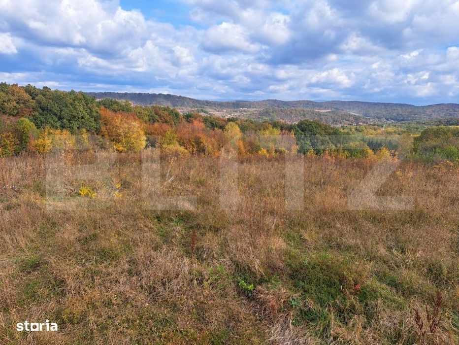 Teren intravilan, 5700 mp, zona Vatman