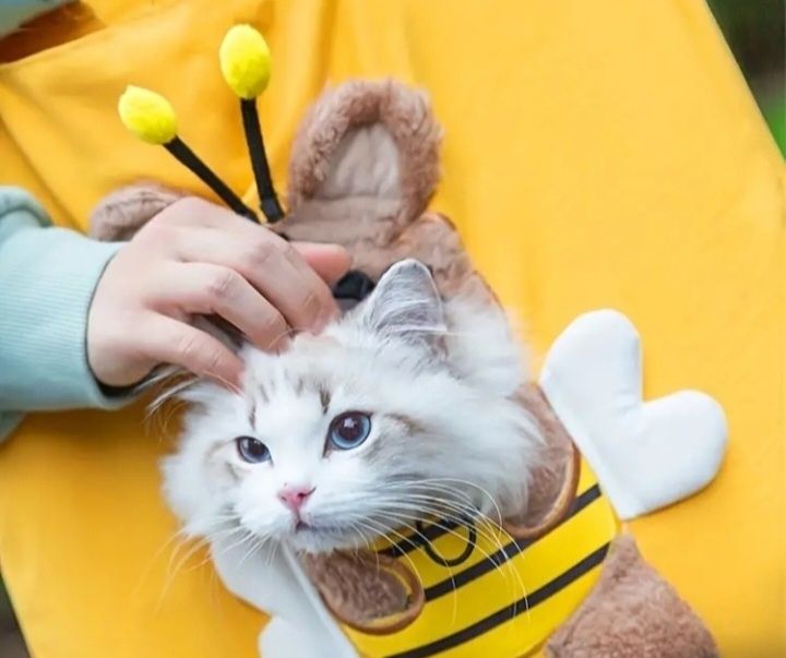 Sacoșă bumbac,calitate premium,plimbare pisici,articol nou, 25 lei