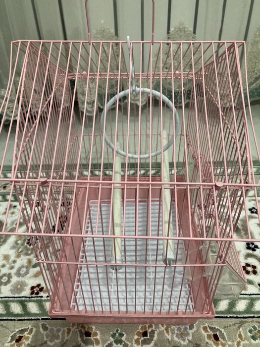 Продам клетку