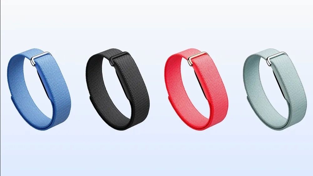 Google Fitbit Air
