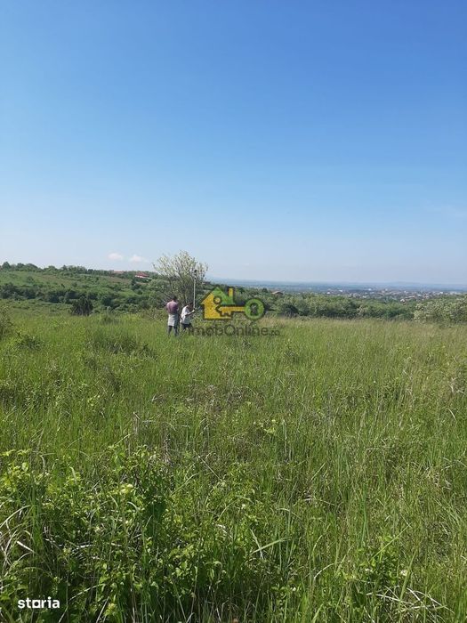 Teren Extravilan, Dealu Viilor, Lugoj