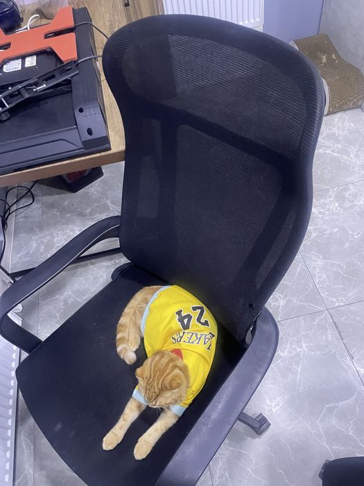 Ofis kreslolari офис кресло