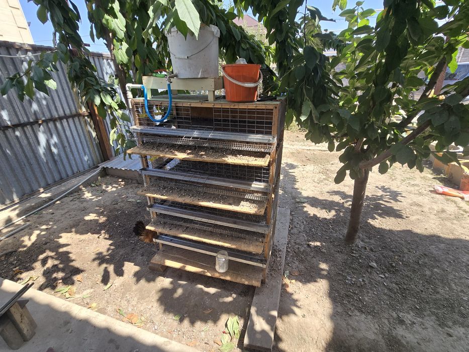 Продаю  клетка для перепелки