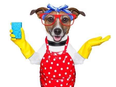 Клининг,  уборка квартир, домов. Мойка окон, балконов,