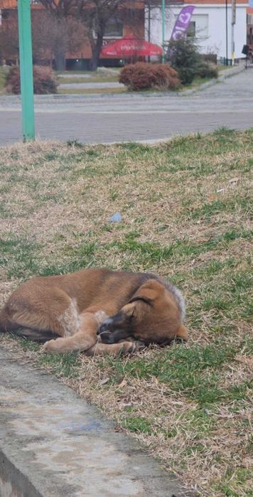 Момиче търси любов и дом