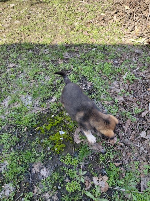 Званок мальчик пальчик