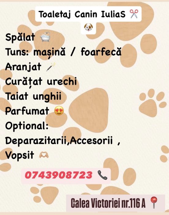 Toaletaj Canin IuliaS