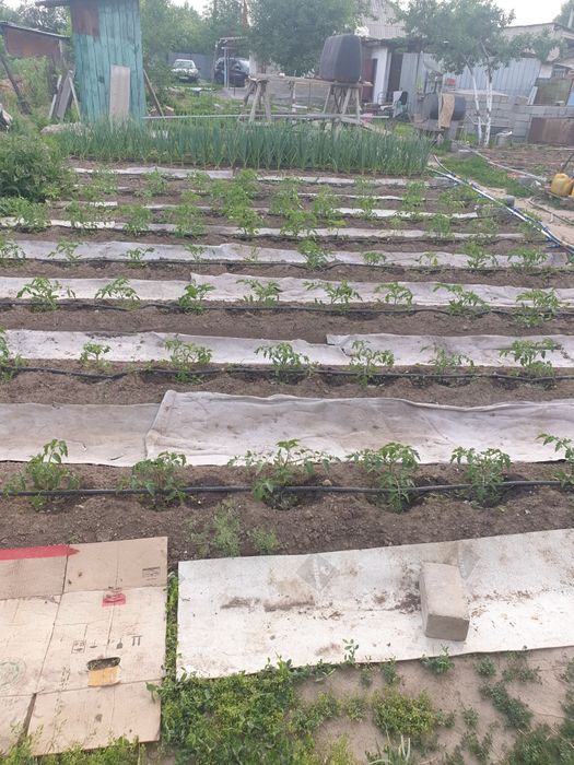 Теплица в сборе с всеми наворотами