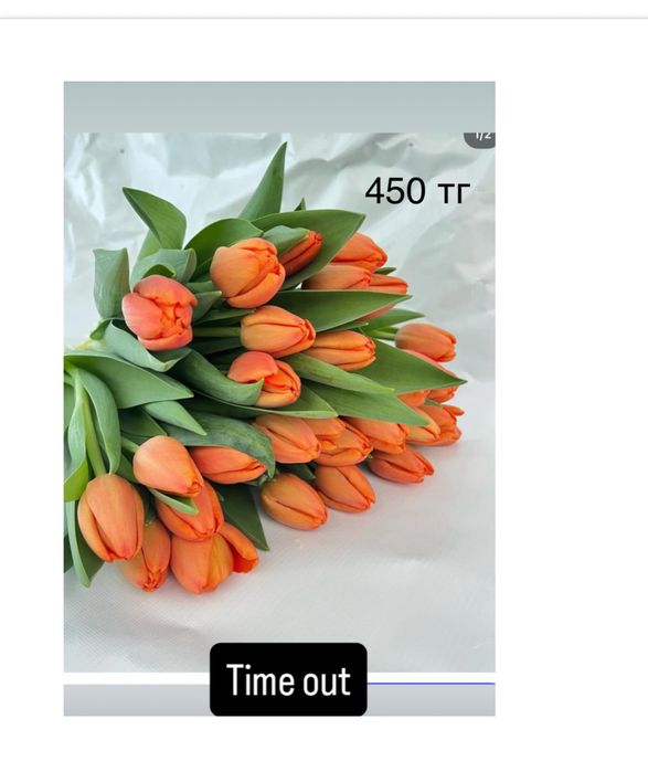 Тюльпаны оптом к 8 марта