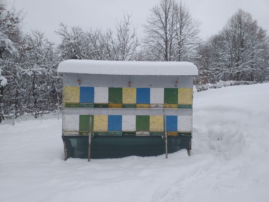 Pavilion apicol cu lăzi  de 10 rame