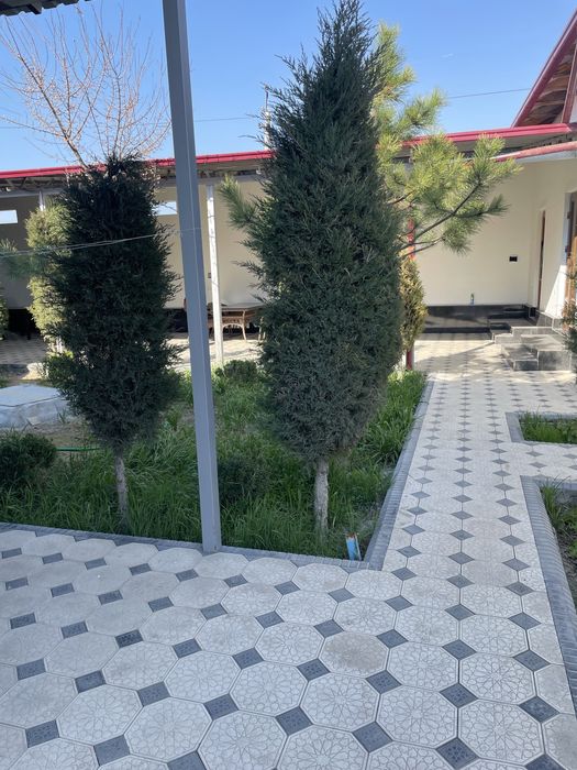 Oshxona kafe restaran arendaga beriladi