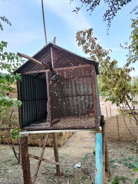 Продается волерь