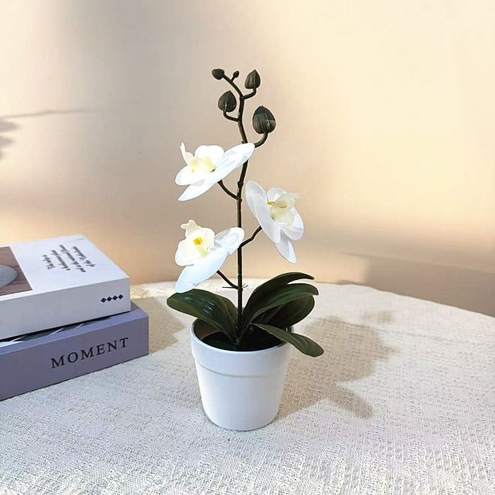 Ayollar uchun sovgʻalar.Arzon narxlarda sovun gul va sun'iy gul mahsul