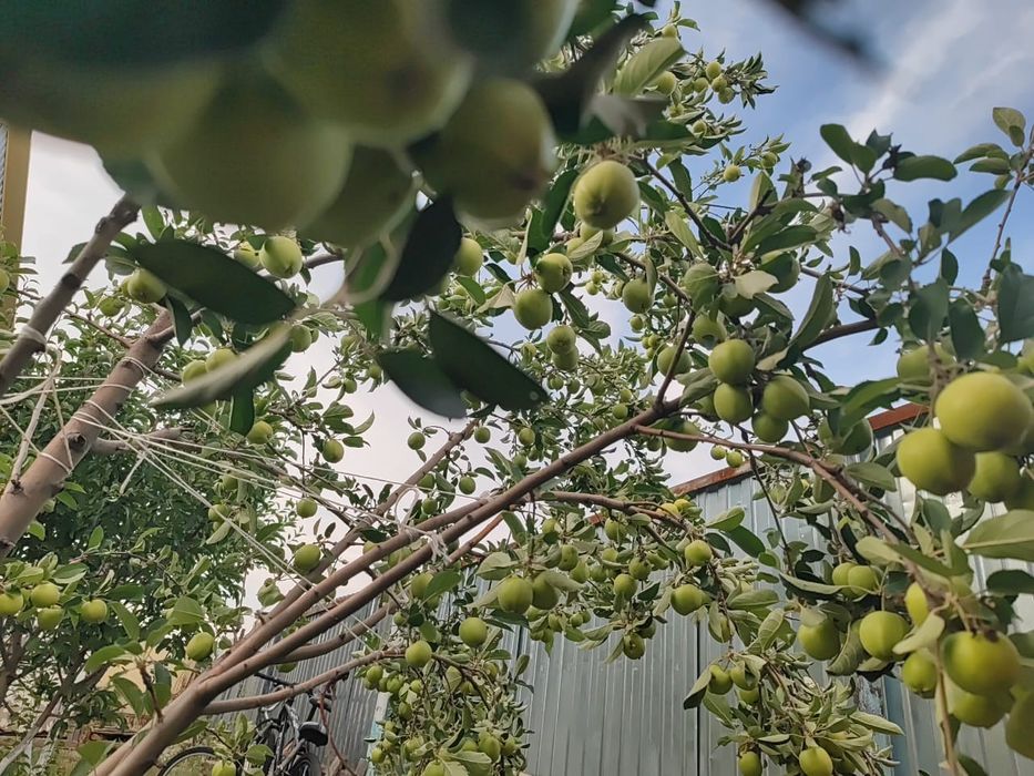 Срочно продается дом в районе Деркул 2 этап.