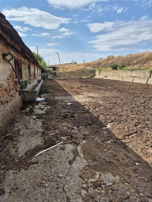 Кравеферма  със оборудване