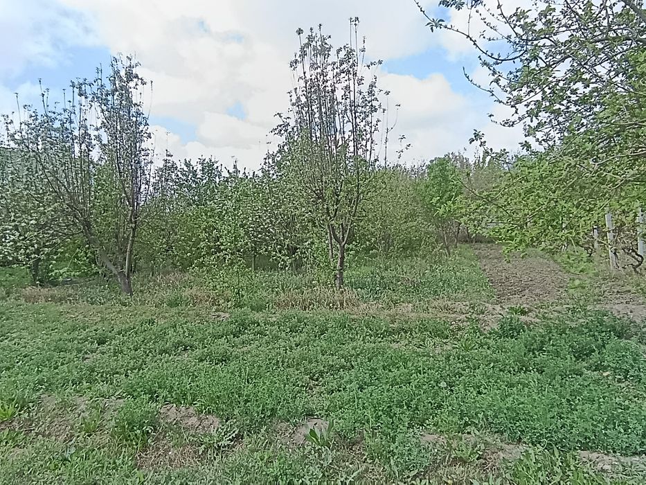 Yer ucastkasi qurish uchun tayyor