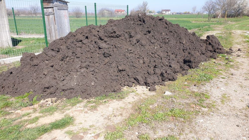 Pamant negru, vegetal, pentru gradina, cu sau fara transport