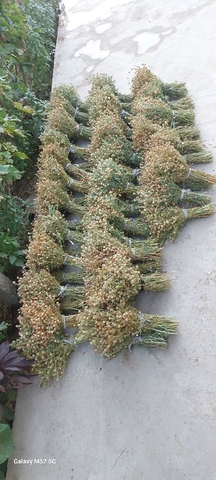 Хазарсувон сотилади