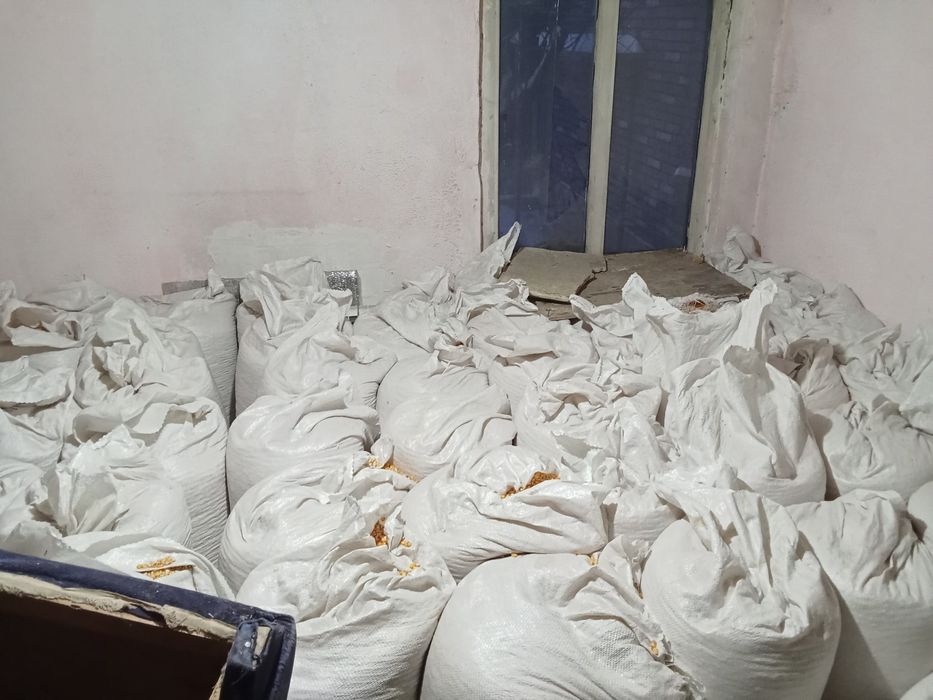 кукуруза в мешках ,оптом, корм , для животных