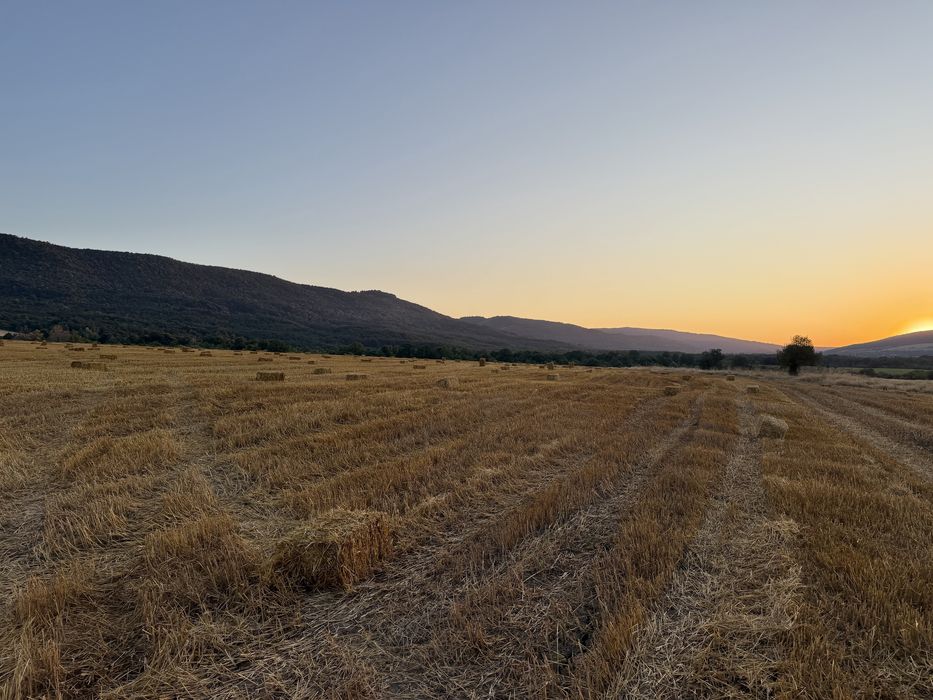 Продавама бали ливадно сено и овесена слама