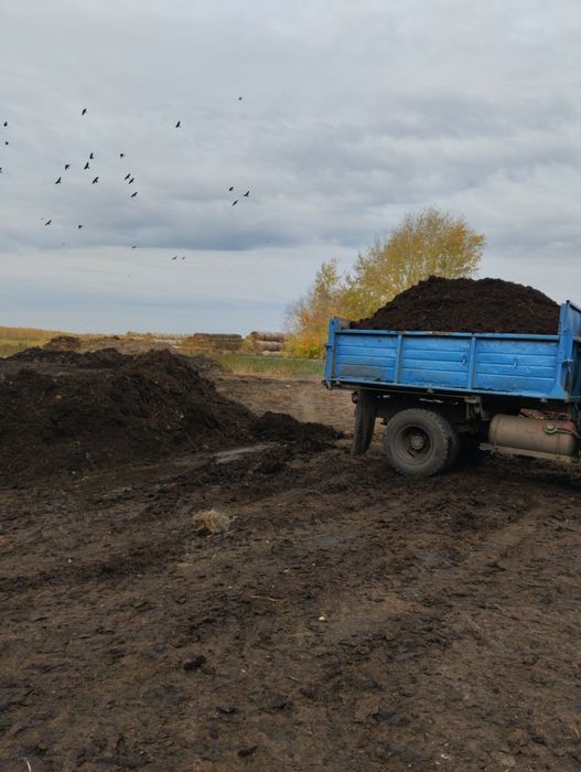 Доставка перегноя, чернозёма, земли