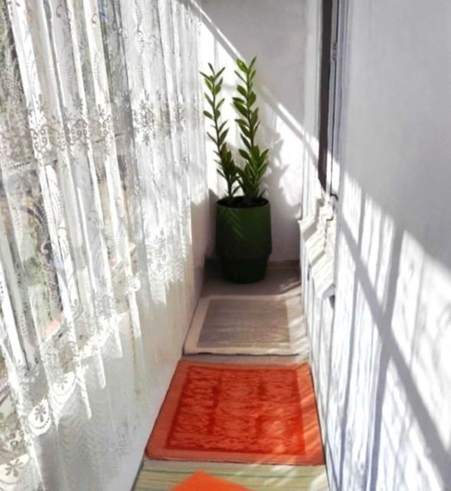 Casă cu grădină mare și vie, Odaia Manolache – toate utilitățile!