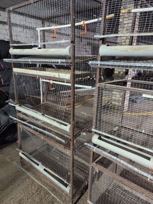 Клетки для кур / тауык клеткаси / парранда клеткаси
