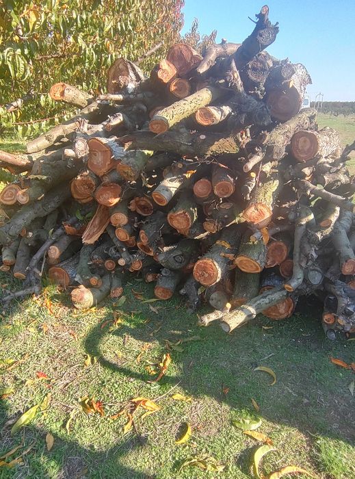 Дърва от Прасковки