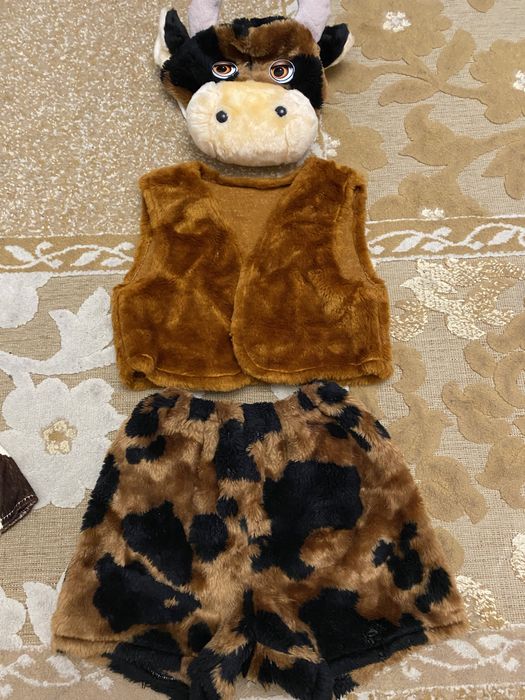 Новагодные кастюмы нампрокат