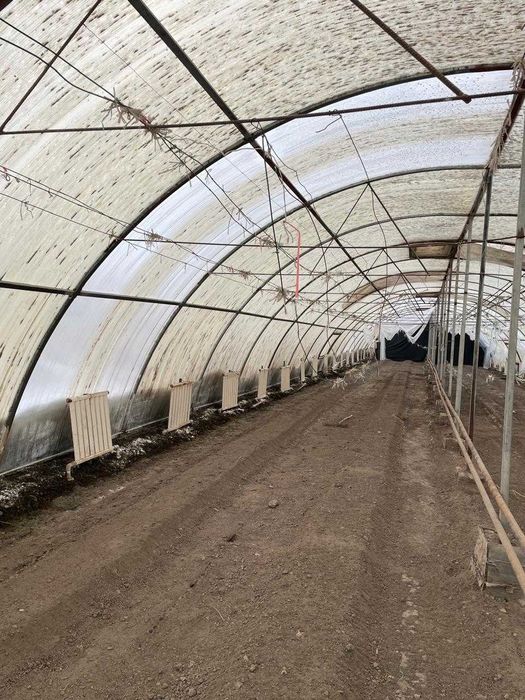 Теплица оцинкованная