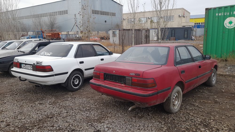 Карина 2 1988г.в. казах учет