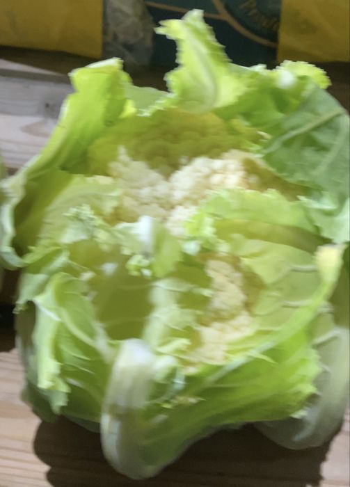 Продаём Цветную  капусту