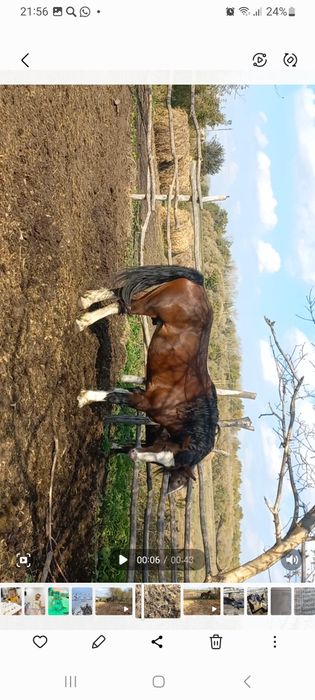 Продам или поменяю