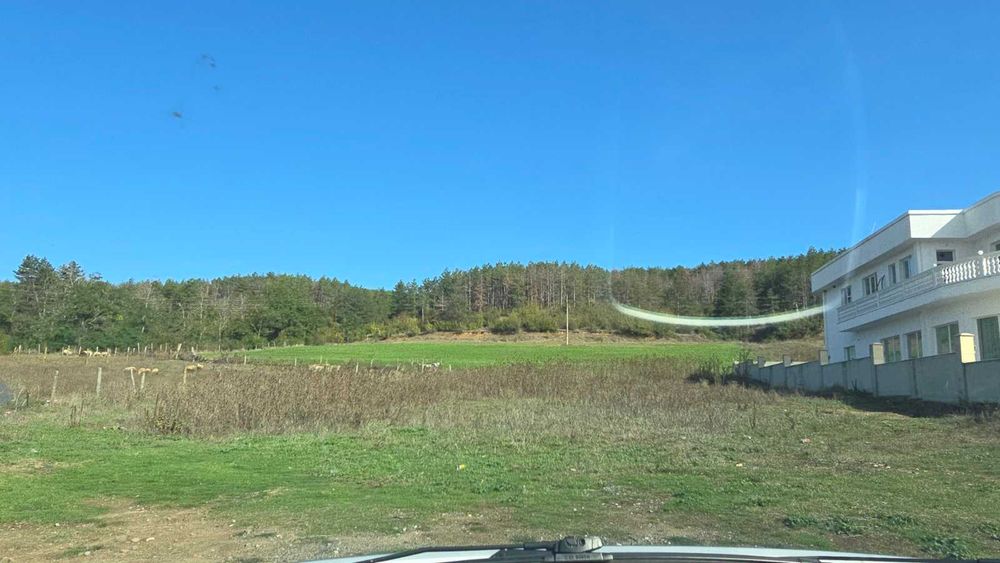 Продава се Парцел в с. Просеник, Област Бургас - 1000 кв.м за 25 €/кв.м - Снимка #1