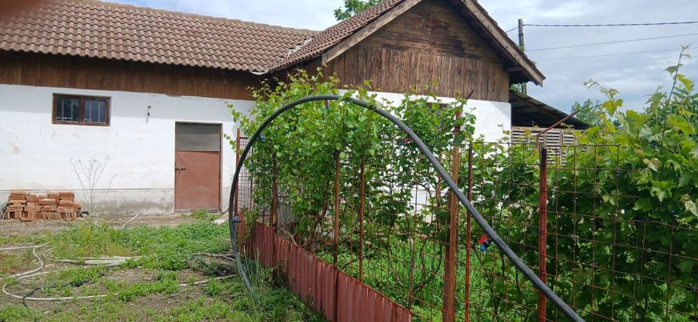 Teren și construcții